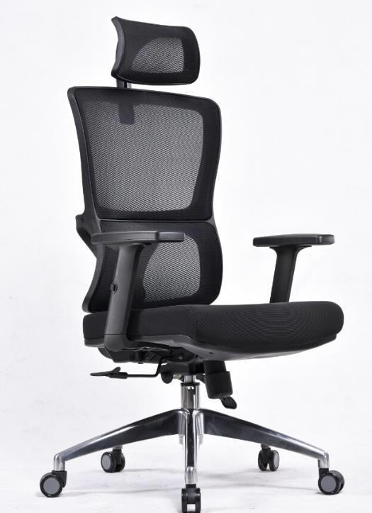 Mesh Back Adjustable Office Chair | OS - 52