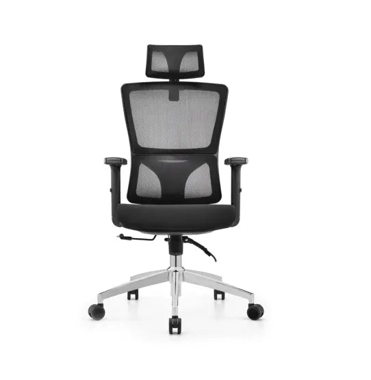 Mesh Back Adjustable Office Chair | OS - 52